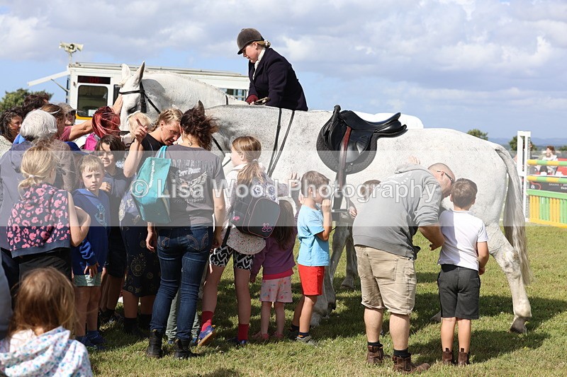 3E7A3416 - Parade of Hounds