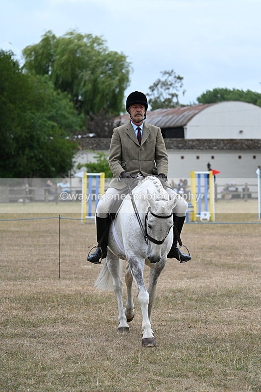 WJ7_0767 - Class 7 Riding Club Show Horse
