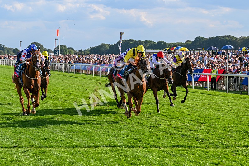 220826-Race 7-Raammee-1876 - Race 7 17.20pm Sky Bet Dav Reid Finale Handicap