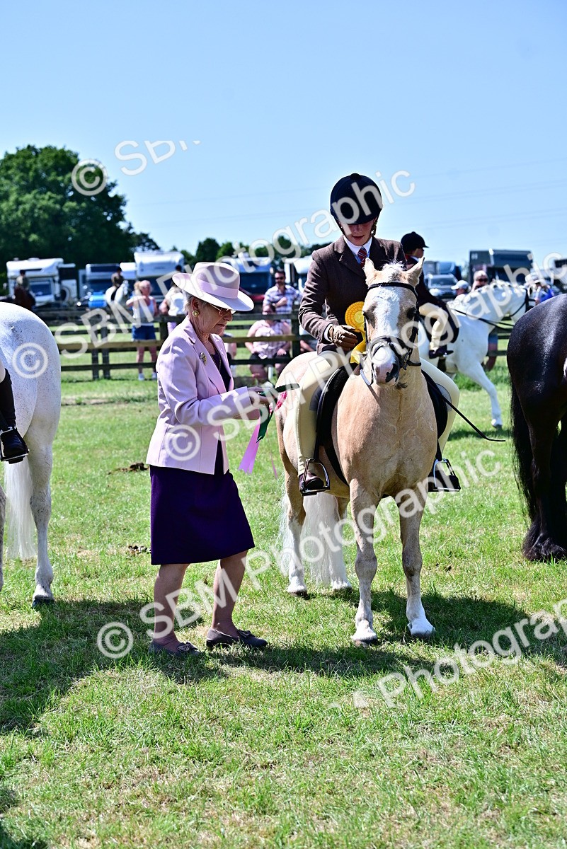 SBM_15436 - Class 95-97 - BSPS LHS Performance Ponies