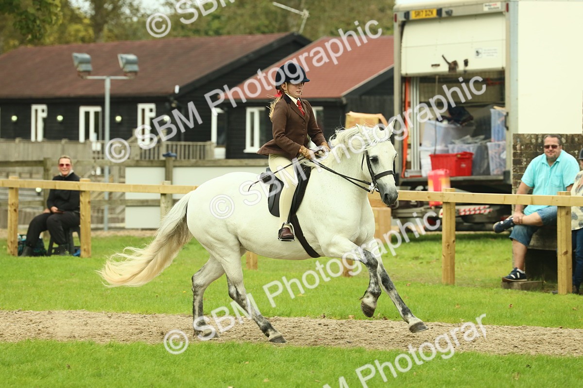 SBM_72023 - S60 - Mountain & Moorland Ridden Large Breeds