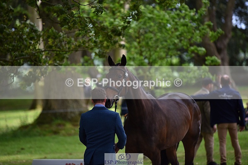 240522-150334-00063 - 303-KILLEENHOUSESTUD_OBOS_16-Tom_D_Crisp