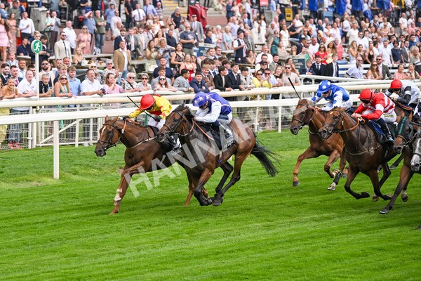 250725-Race 1-Pressures On - Quest For Fun-5345 - Race 1 5.30pm eventmasters.co.uk Handicap