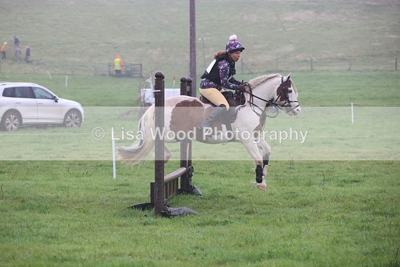 JPP_5020 - Class 1: 65cm : Showjumping