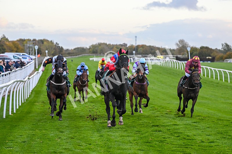 281025-Race 7-Crocodile Power-2110 - Race 7