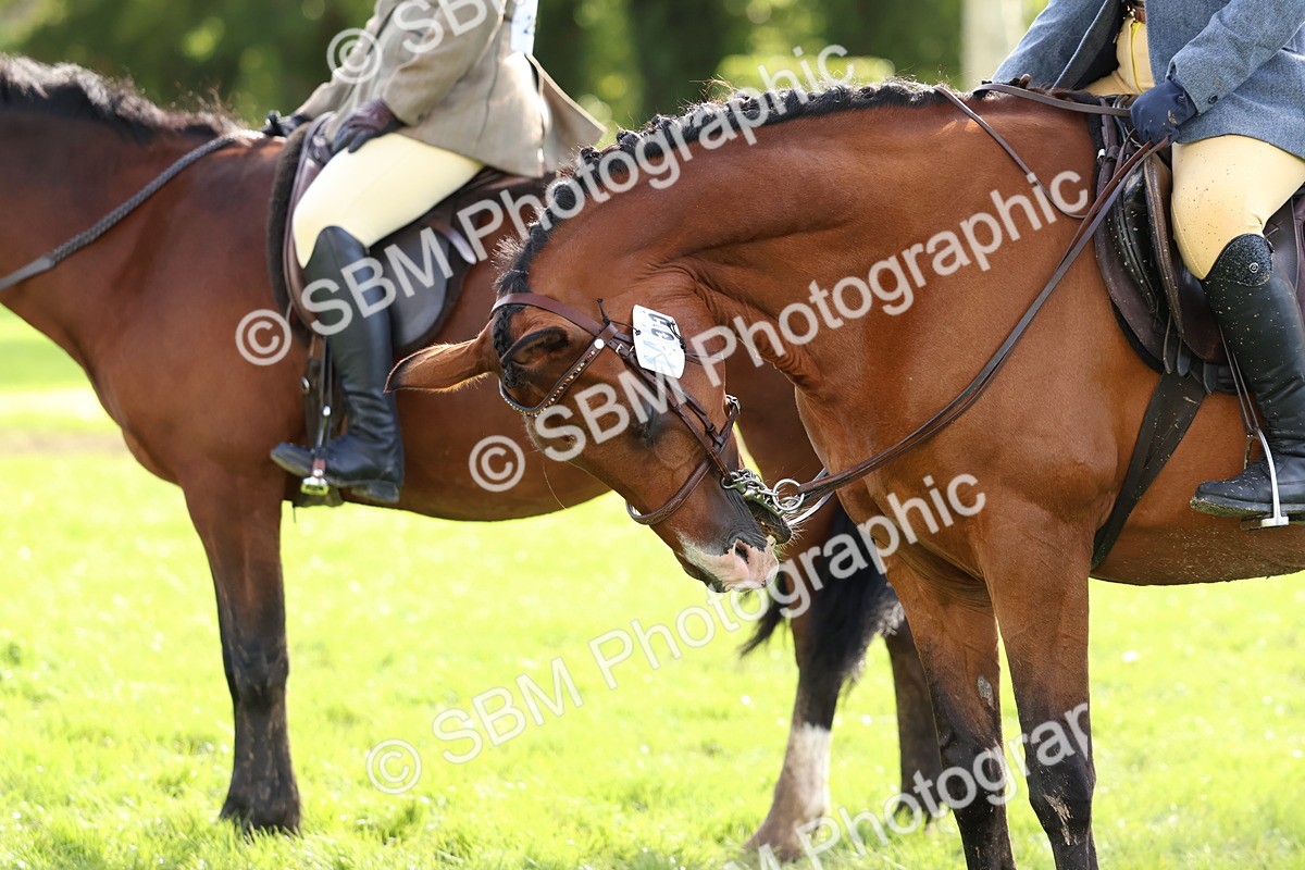SBM_47814 - S28 - Veteran Ridden