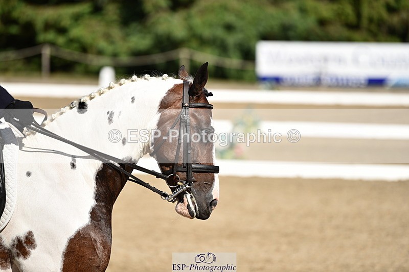 140110A-052240-12473 - 090-Debbie.Squires-Mystic.Spirit