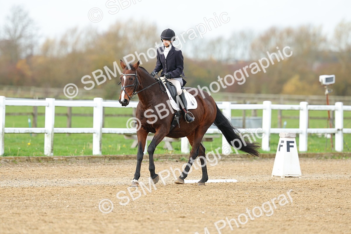 SBM_003532 - Class 6 - Novice 2