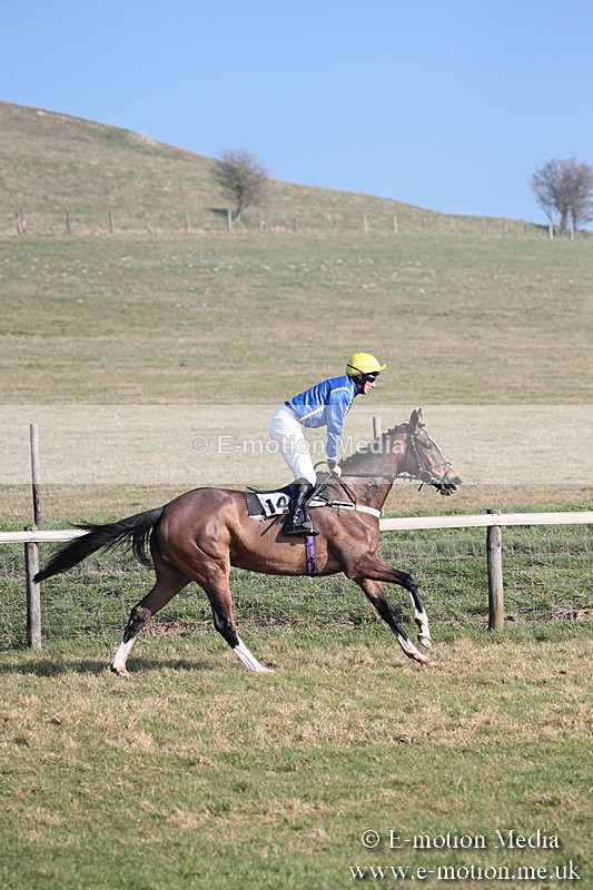PtP 230219 273 - Vine & Craven Point-To-Point - Barbury 23/02/19