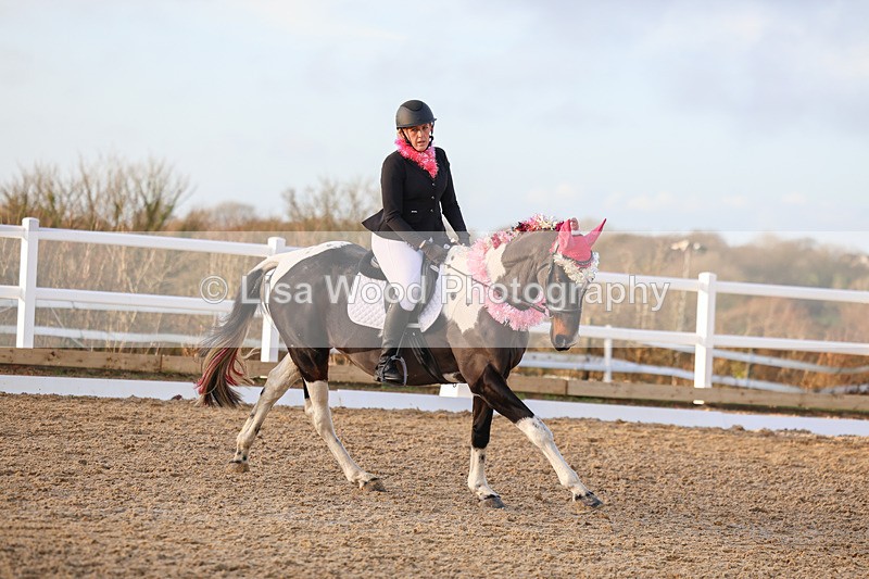 3E7A4800 - Class 5: Novice