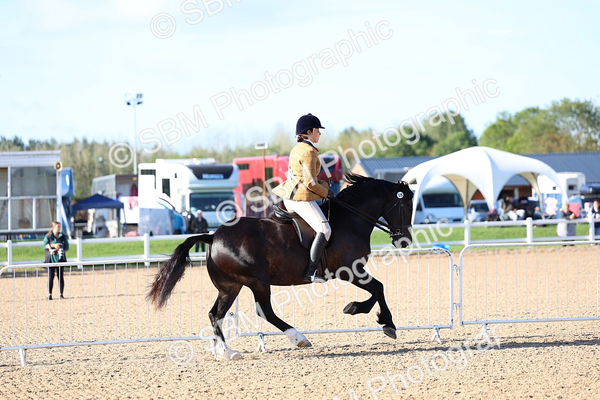 SBM_08770 - Class 302 - Ridden M&M - Large Breeds