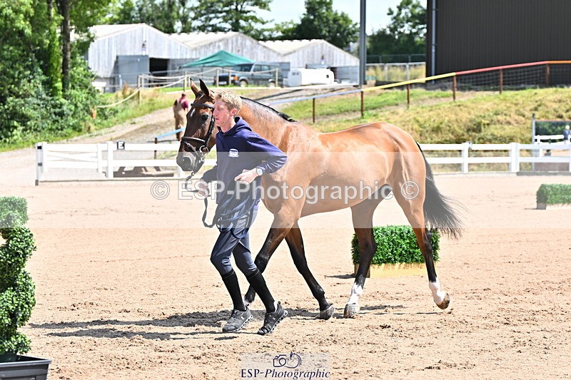 240718A-105238-00962 - Trot Up 11am to 12pm