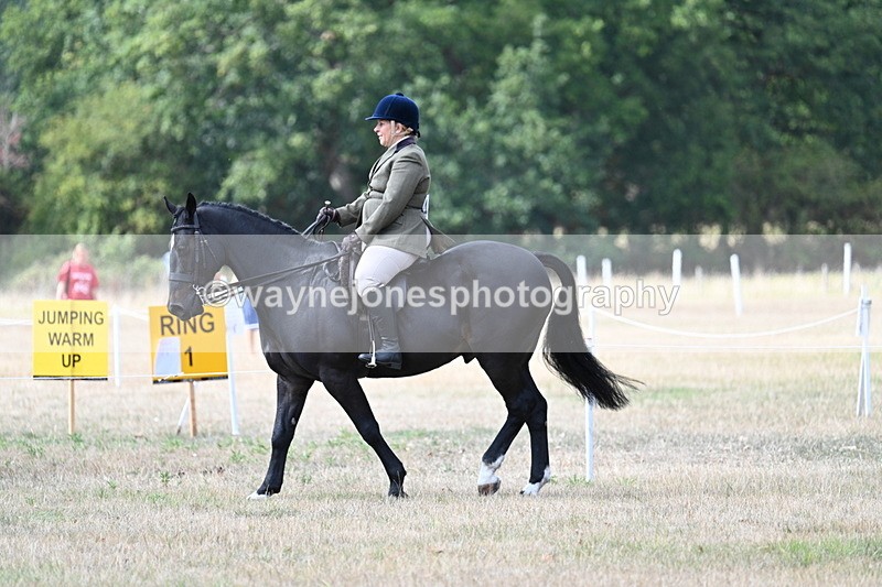 WJ7_5776 - Class 13 Ridden Veterans