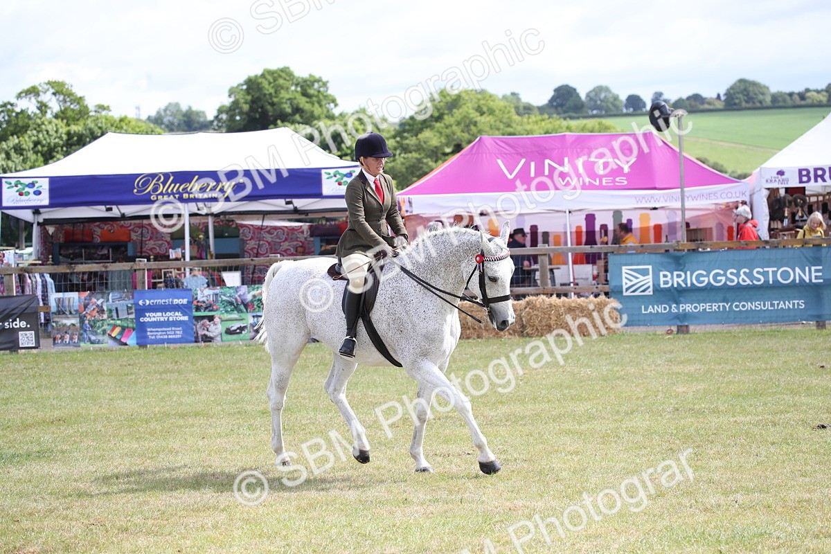 SBM_13227 - Class 95-96 - LIHS BSHA Rising Star Hack Riding Horse