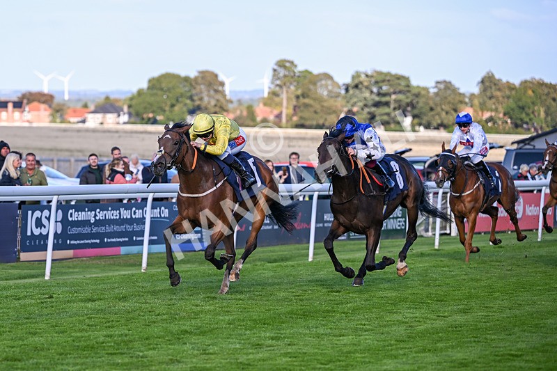 230925-Race 6-Kiss Me My Love-1979 - Race 6