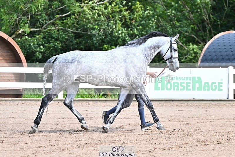 240718A-105238-00953 - Trot Up 11am to 12pm