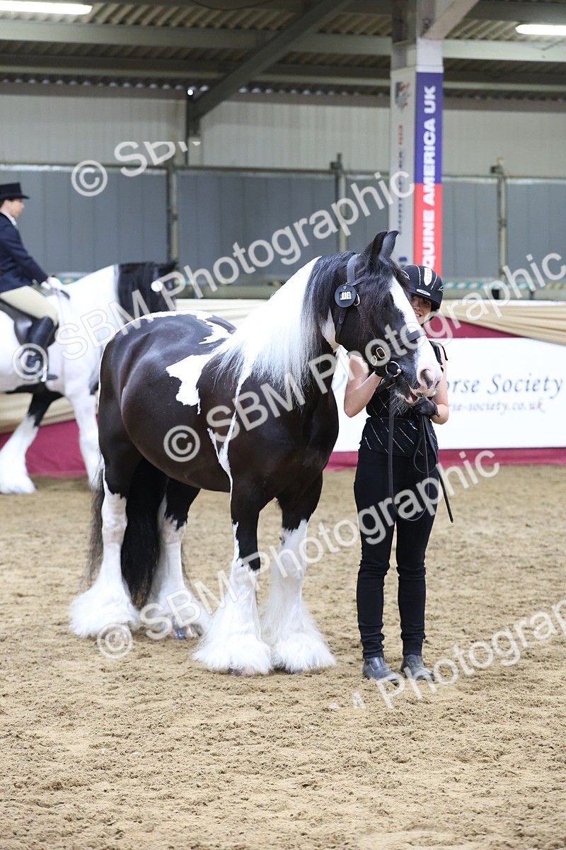 SBM_20172 - Class C - Novalty Champ