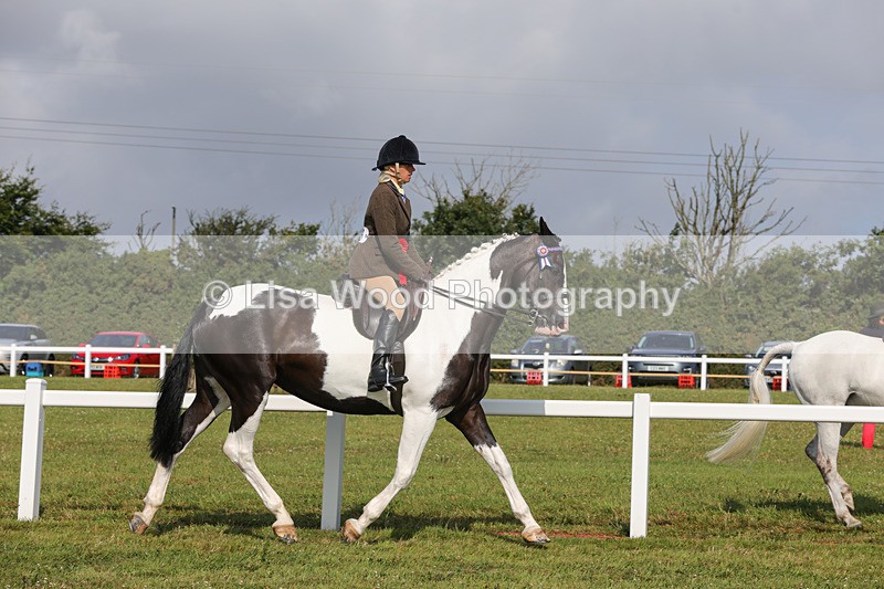 1X9A3458 - Skewbald and Piebald Ridden Championship