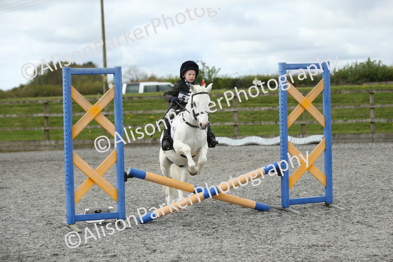 20260412-0712 - Show Jumping