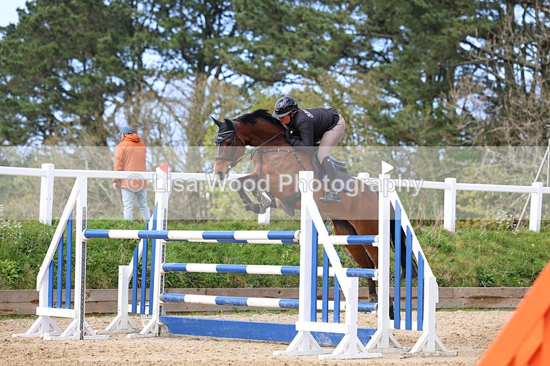 3E7A2242 - Class 8: Senior Foxhunter/1.20 open