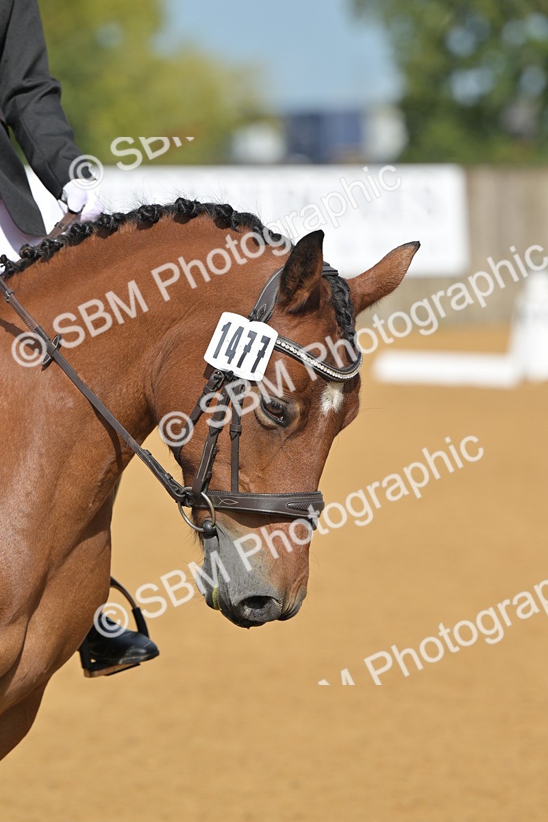 SBM_03691 - D2 - Small Tour Championship Intro 2