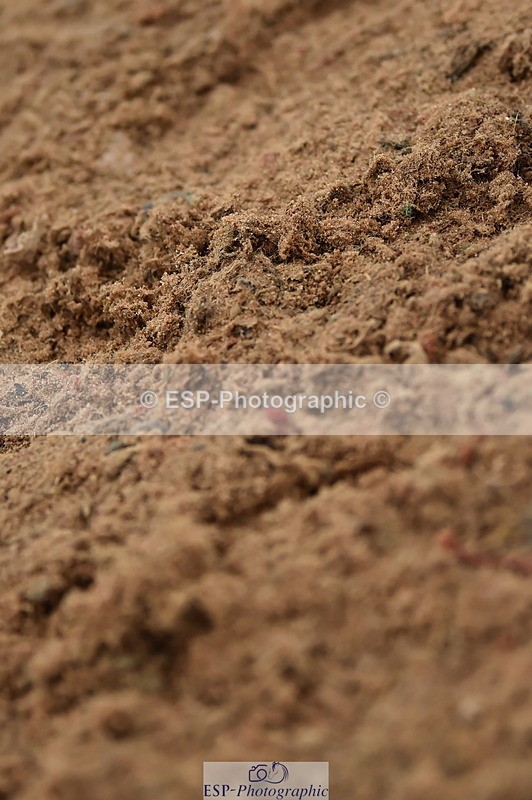 231118A-142704-03582 - Cls 27 Springboard 128cm & 138cm