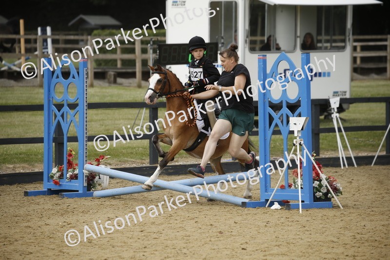 20250622-1492 - 40cm