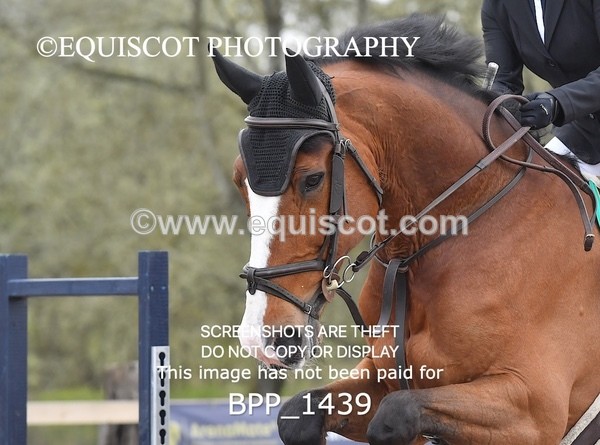 BPP_1439 - CLASS 15 SAT Senior BritiNovice/ 90cm Open