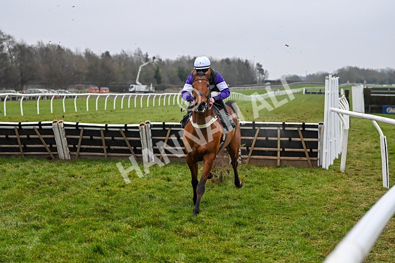 310125-Race 7-Balcomie Breeze-5973 - Race 7