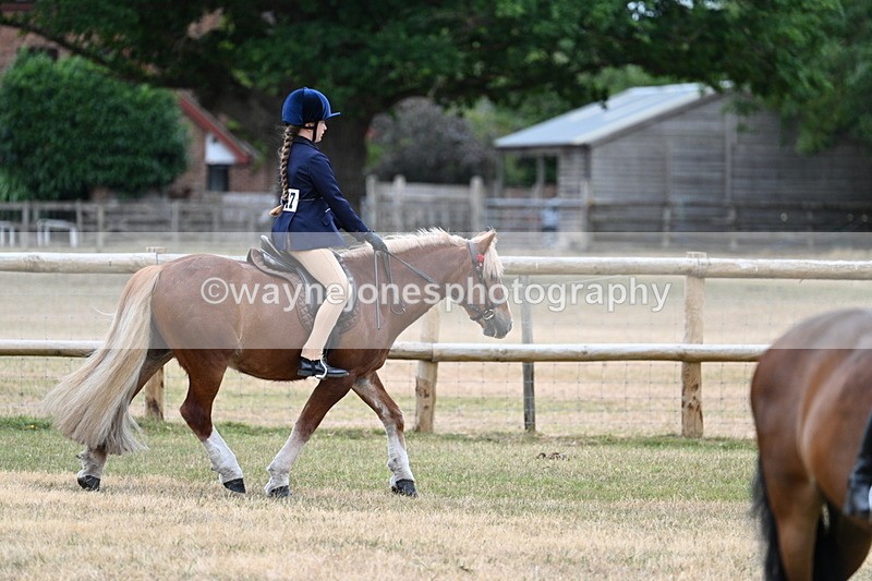 WJ7_0425 - Class 2 Best rider