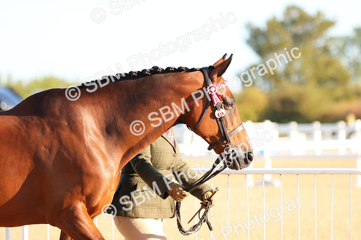 SBM_07959 - Class 201 - Best Turned Out - IH