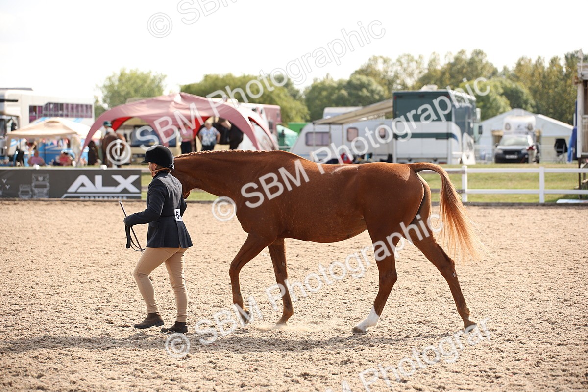 SBM_07077 - Class 25 IH Foreign Breeds- Pure bred