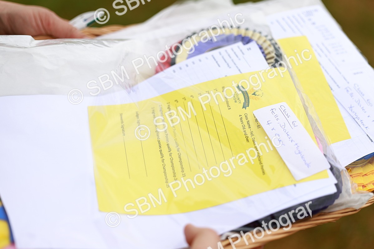 SBM_00339 - Class 58-67 - M&M Non Welsh Pony In hand