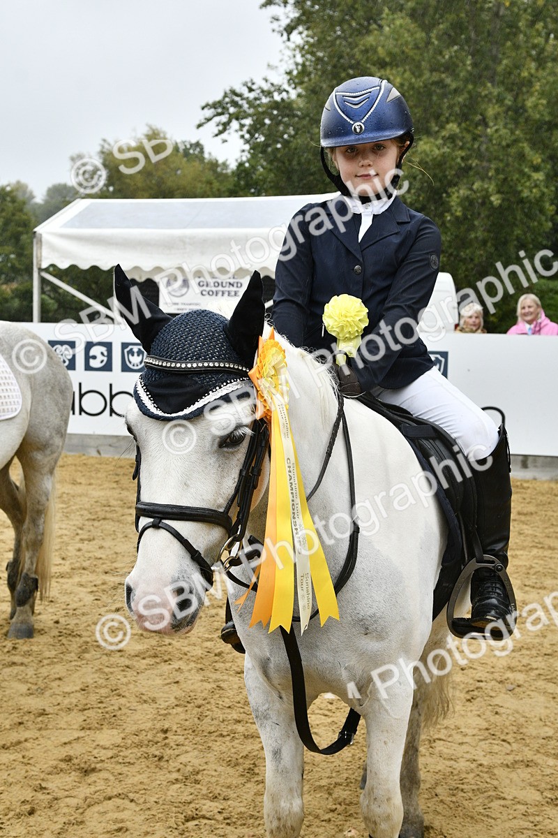 SBM_71048 - J3 - Mini Tour Junior Pony 40cm championship
