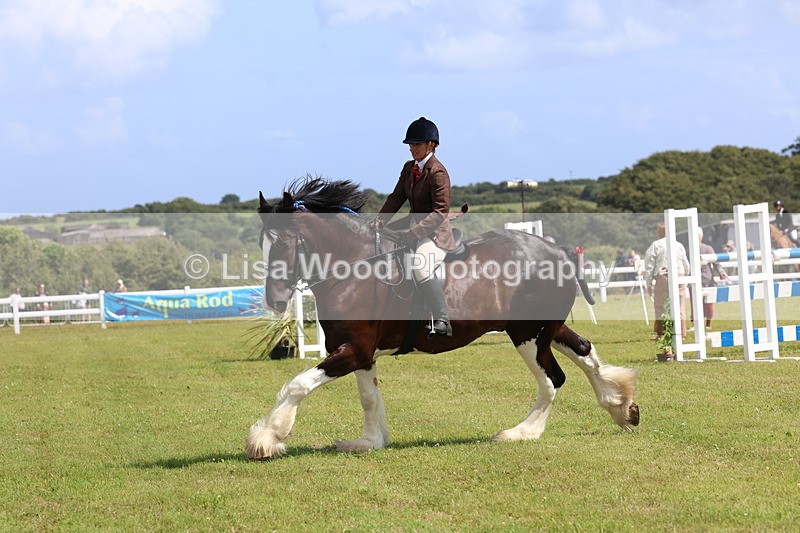 3E7A2895 - Class 13: Heavy Horse Ridden