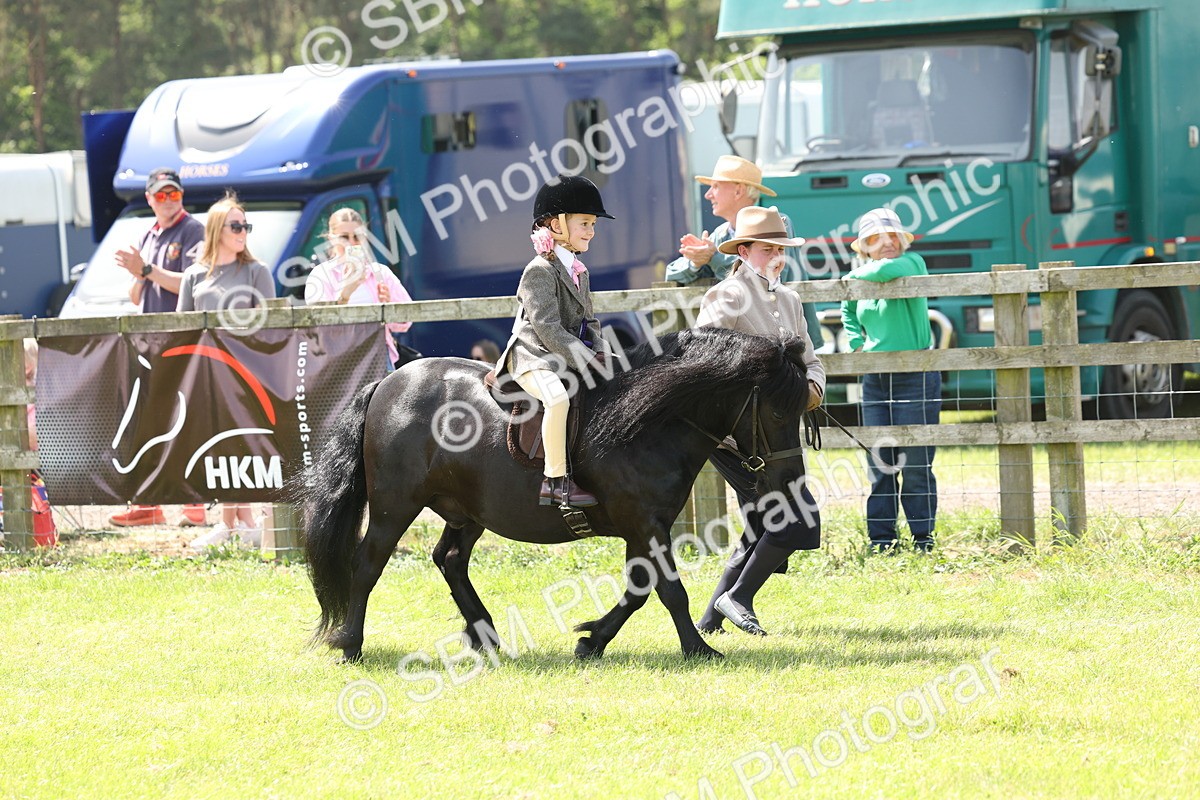 SBM_05312 - Class 24-25 - Mountain & Moorland In Hand Lead Rein and First Ridden