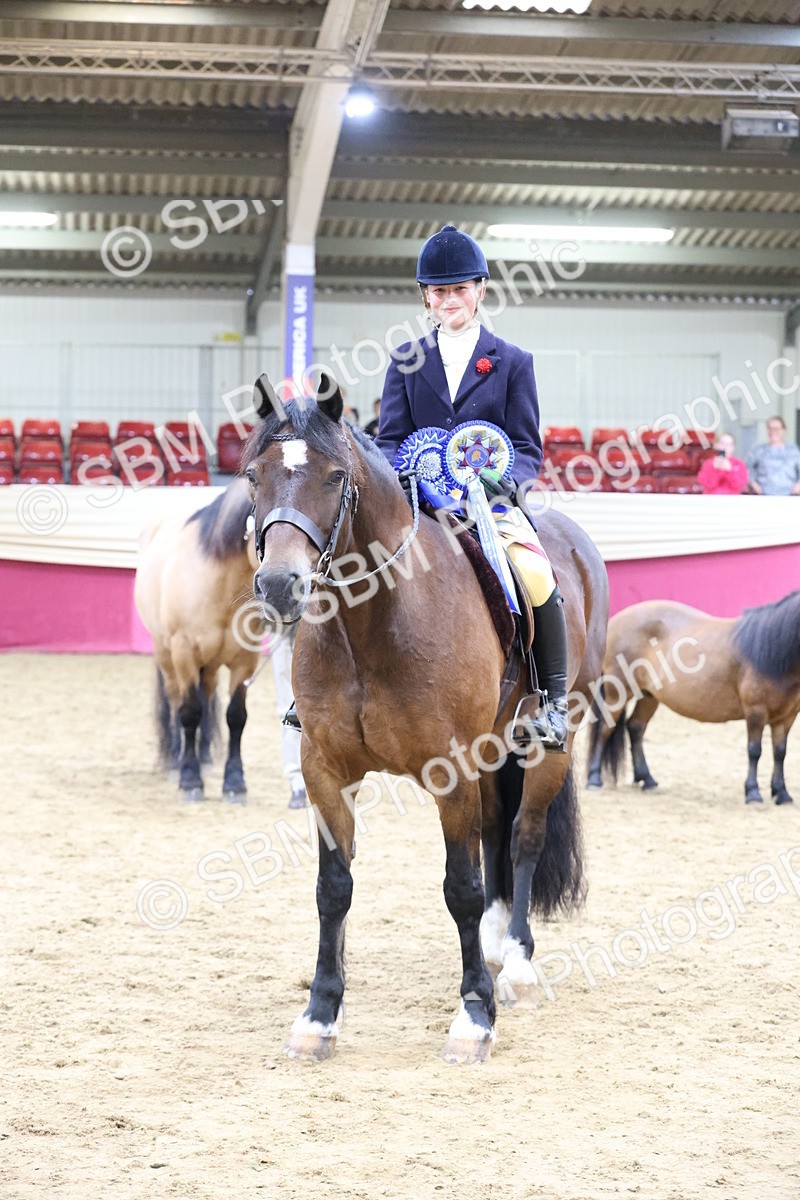 SBM_20065 - Class B - Junior Champ 11yr to 16 Years