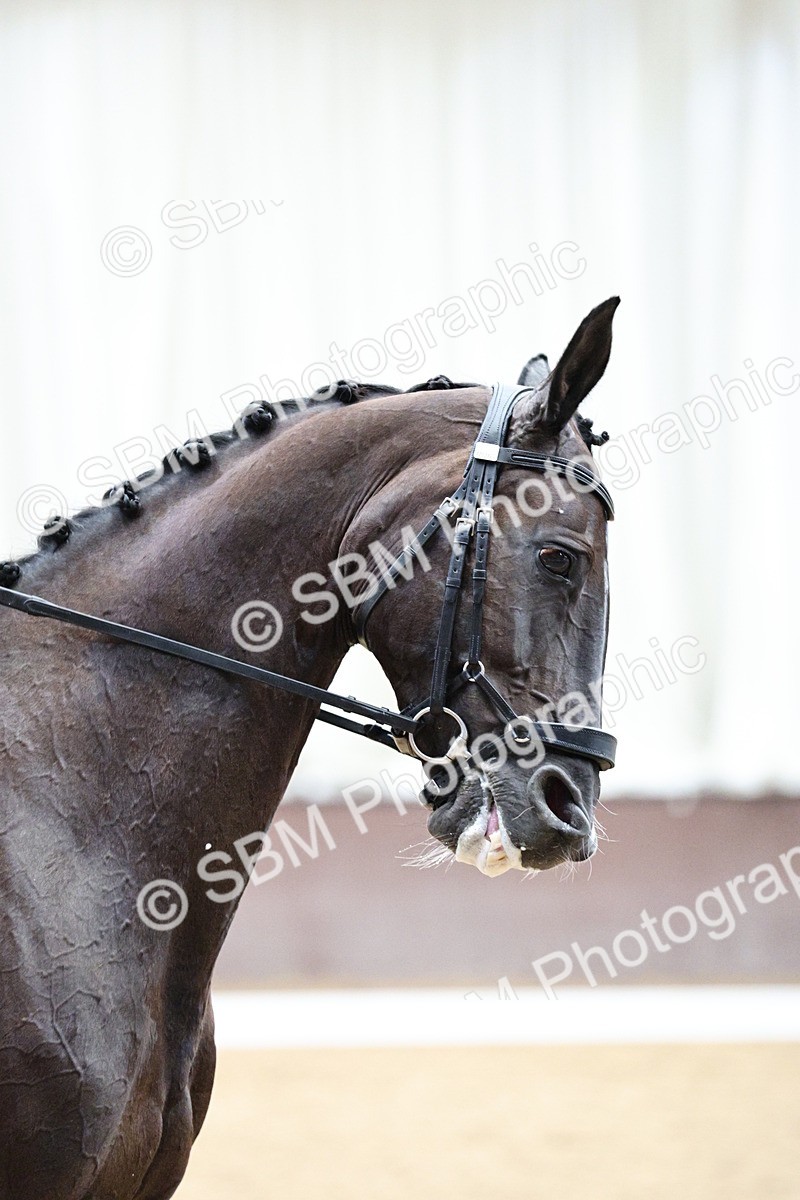 SBM_001335 - Class 5 - Novice 6