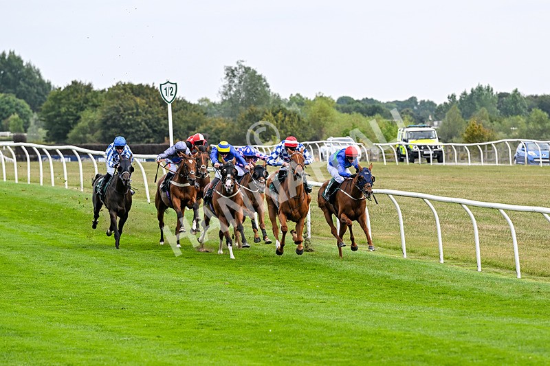 260826-Race 4-Niffler-3316 - Race 4 15:45 Hats Of Yorkshire Handicap