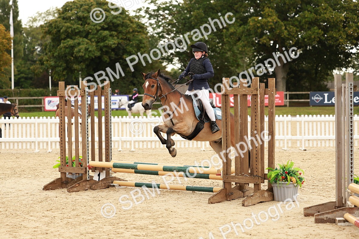 SBM_57875 - J11 - Junior Pony 50cm Championship