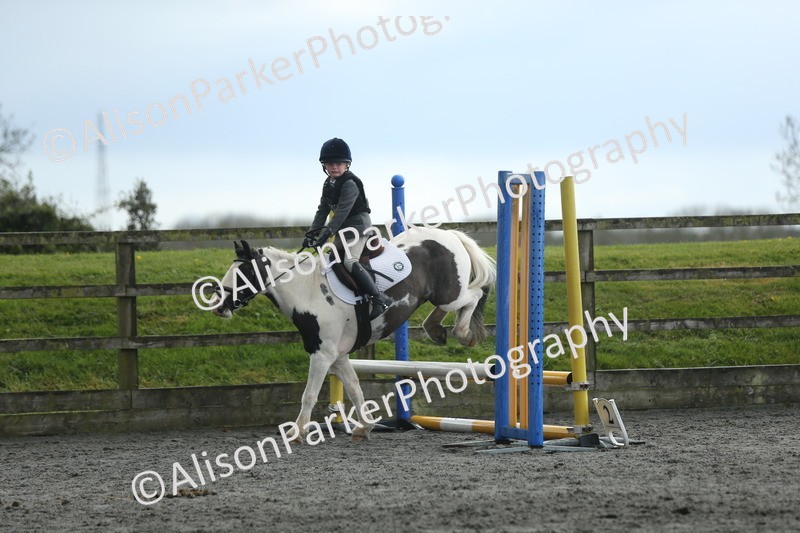 20260412-1950 - Show Jumping