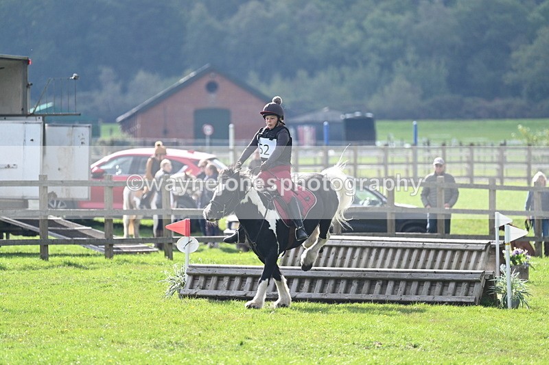 WJ7_3708 - 40cm Time 10:26 to 10:42