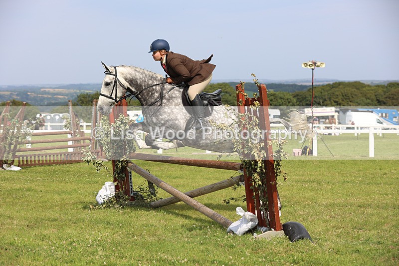JPP_3997 - Class 24: Working Hunter 90cm