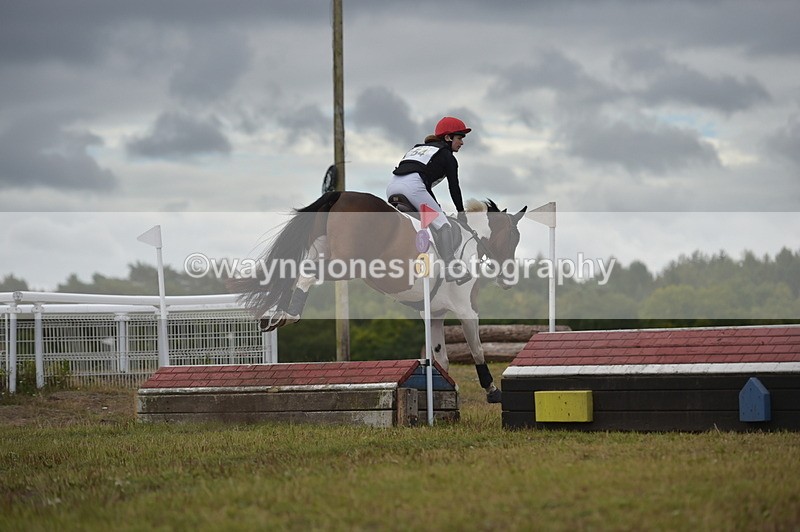 NGP_2113 - XC Time 11:20 to 11:36