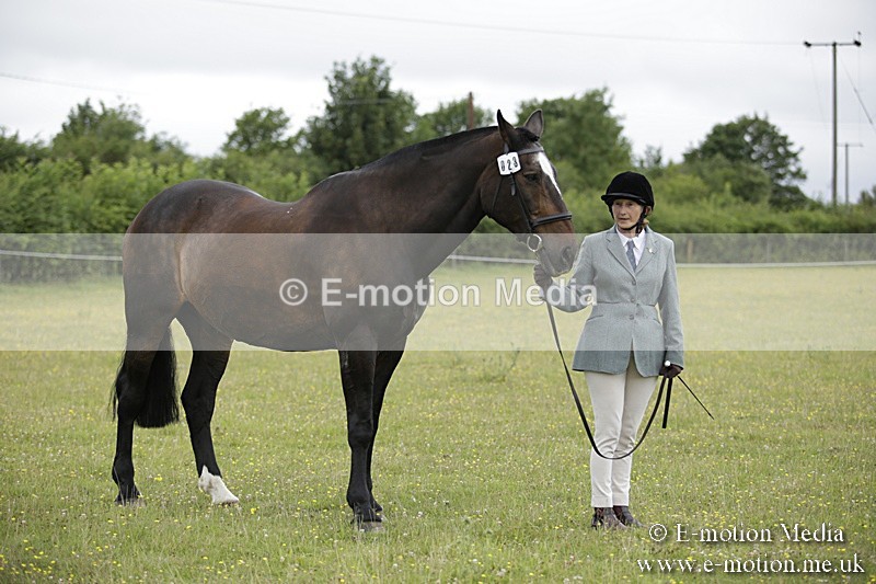 BVR160717-710 - Ring 2 BVRC Show 16/07/17