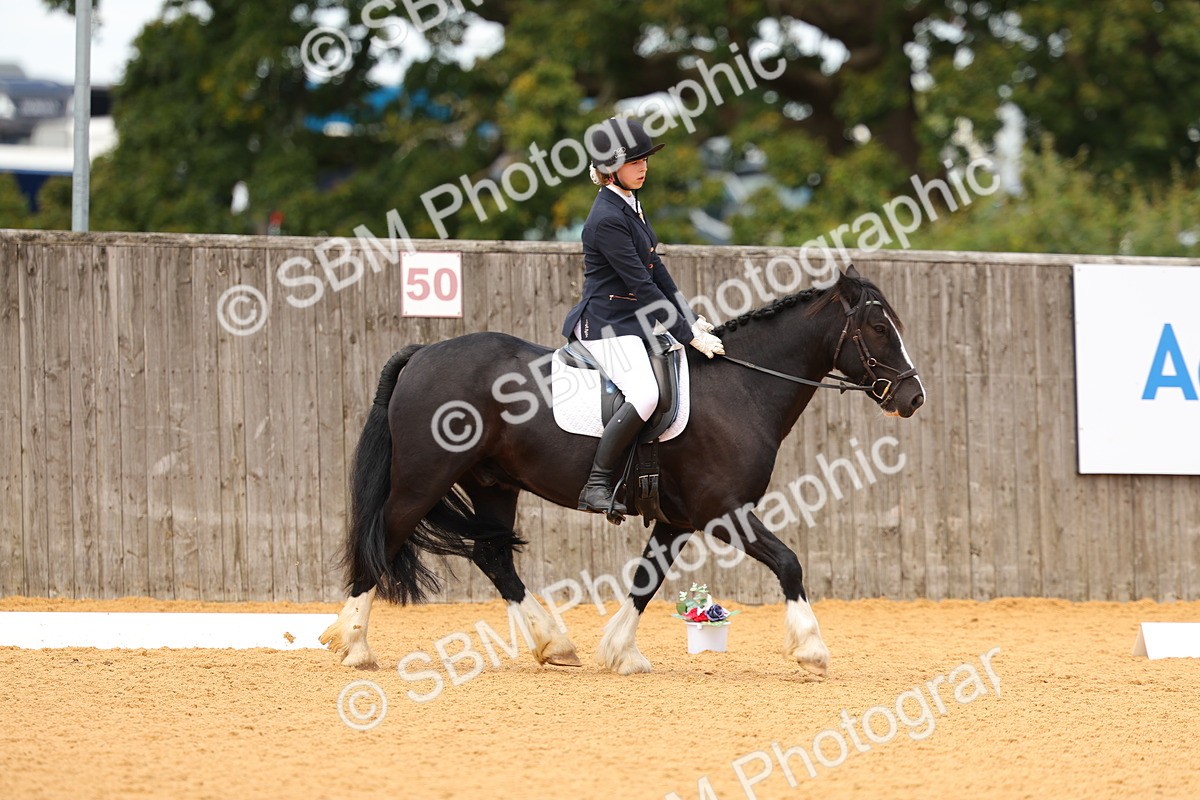 SBM_43999 - D22 - Junior Championship - Intro B