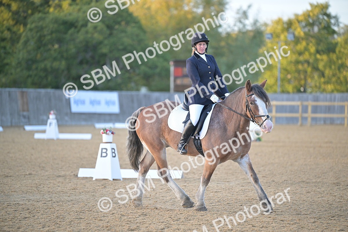 SBM_13534 - D3 - Small Tour Championship Intro 3