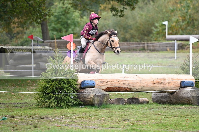 WJ6_3036 - 80cm Cam 1 Pairs Time 12:19 to 12:49