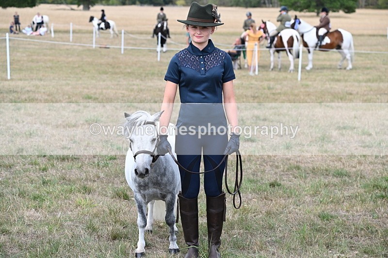 WJ6_7089 - Class 21 Shetland & Mini Horses
