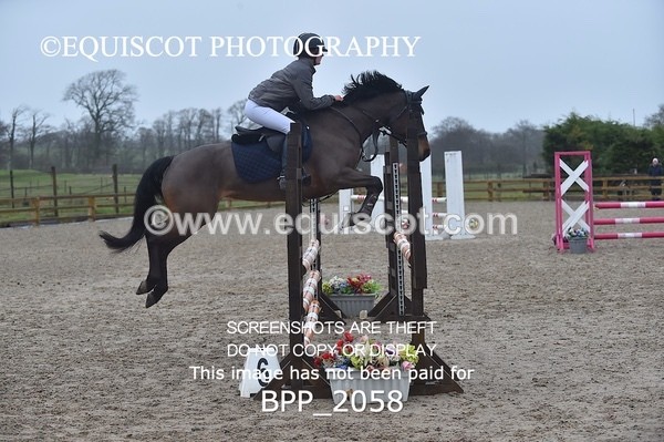 BPP_2058 - CLASS 19 Pony Discovery / 90cm Open